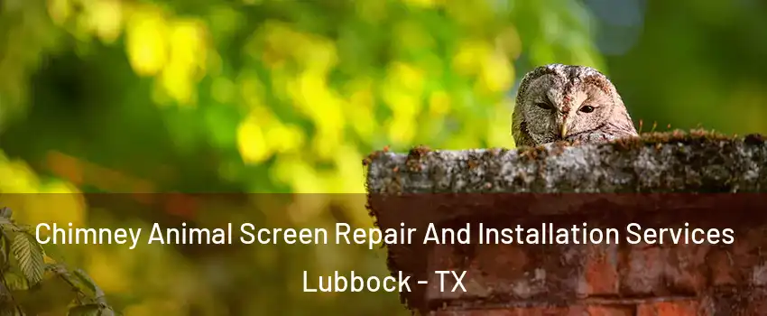  Chimney Animal Screen Repair And Installation Services Lubbock - TX