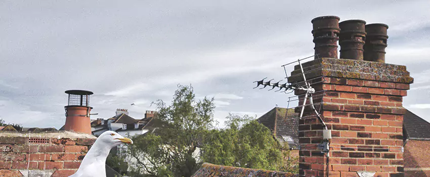 Chimney Cleaning And Restoration in Lubbock, Texas