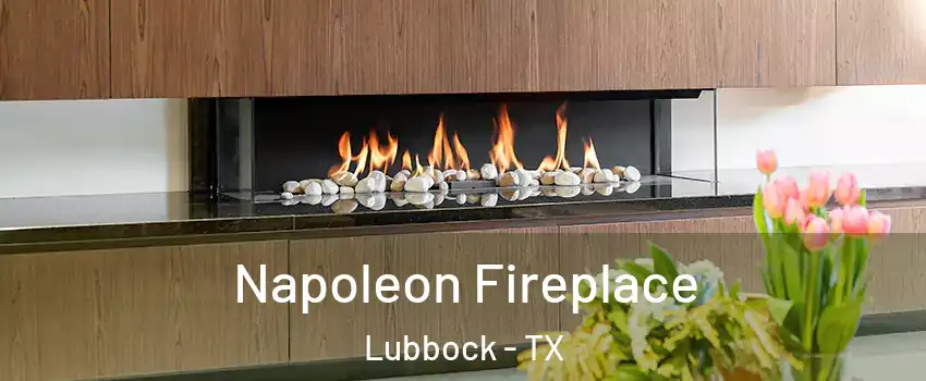  Napoleon Fireplace Lubbock - TX