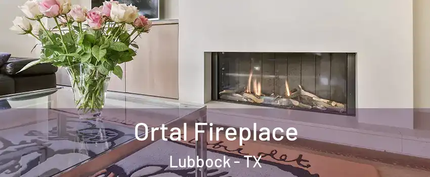  Ortal Fireplace Lubbock - TX
